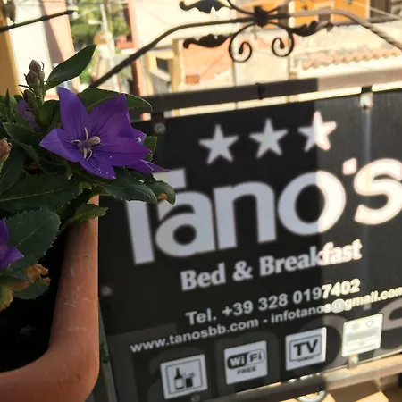 Tano's Lejlighed *